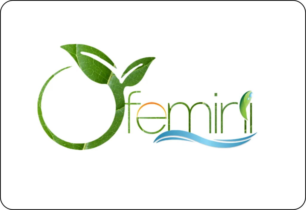 Ofemini Global Limited