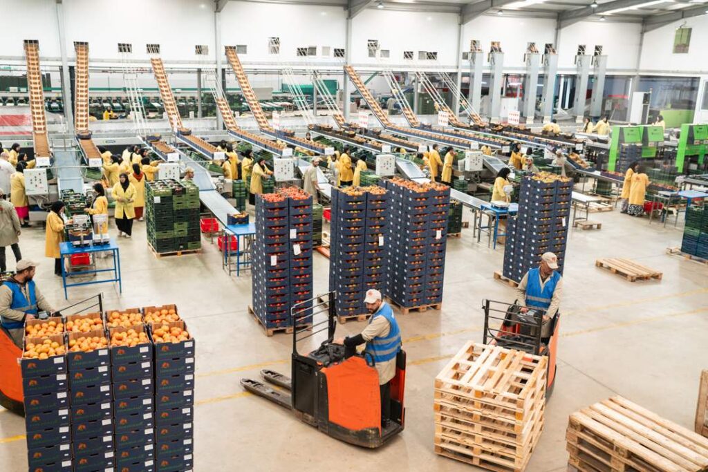 South Africa Loses Its Crown To One Of Its Biggest Competitors